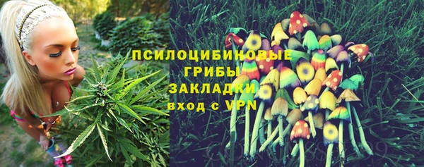 мескалин Арсеньев