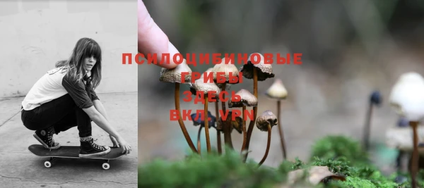 твердый Армянск
