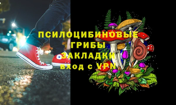 твердый Армянск