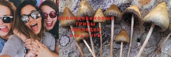 таблы Алексеевка