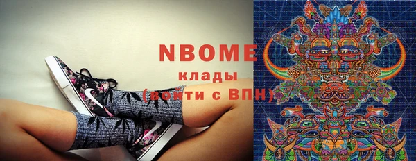 прущие грибы Баксан